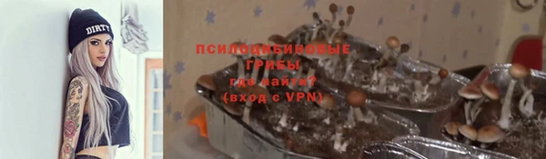 мдпв Медвежьегорск