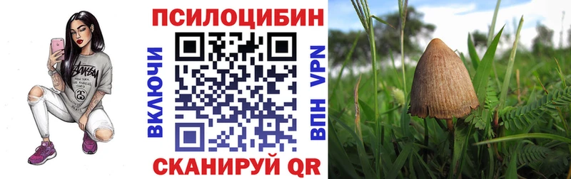 Псилоцибиновые грибы Magic Shrooms  Купить закладки  Черемхово 