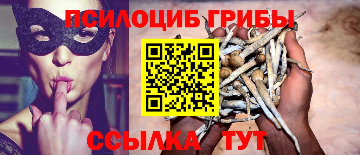 Псилоцибиновые грибы ЛСД Черемхово